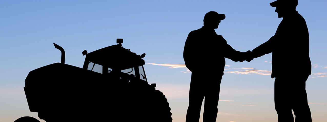 Farmers shaking hands at dusk.